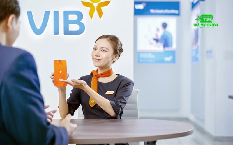 Biểu phí thẻ tín dụng VIB: Chi tiết và đầy đủ nhất 2024 5 Giới thiệu thẻ tín dụng VIB