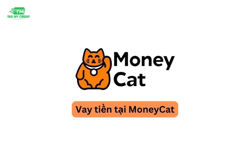 MoneyCat là gì