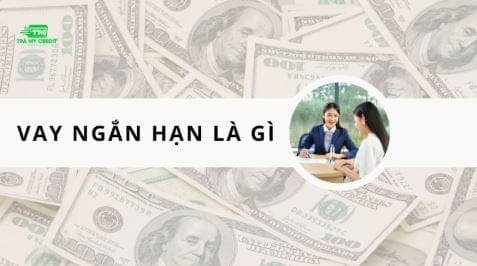 vay ngắn hạn là gì